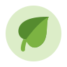 icons8-organic-96